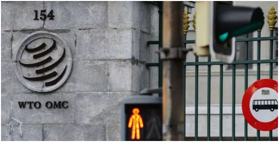 202105181621329267996089473.png 202105181621329267996089473.png