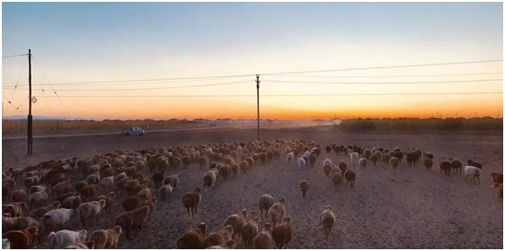 202105191621390004743075897.png 202105191621390004743075897.png