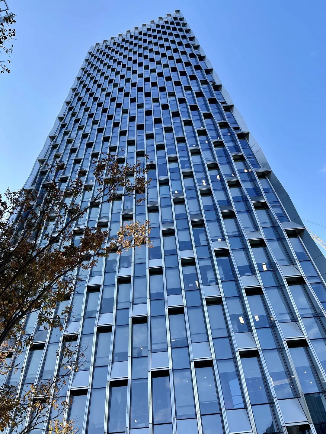 202112131639386749443087415.jpg 202112131639386749443087415.jpg