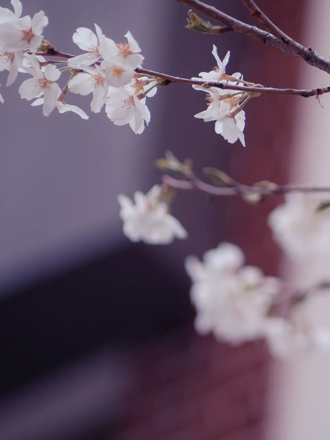 202205021651463042396046680.jpg 202205021651463042396046680.jpg